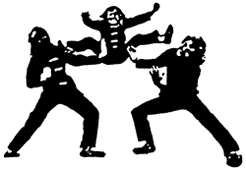 Ching Wu Shaolin Kung-Fu School