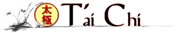 Tai-Chi Association - Tai-Chi School - Training and Instruction